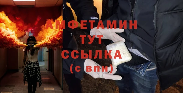 молекула духа Богородицк