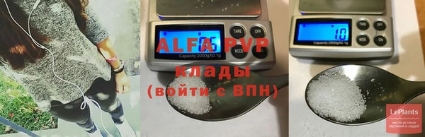 прущие грибы Белокуриха