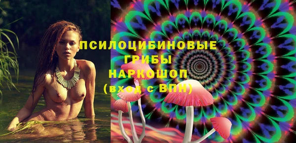 прущие грибы Белокуриха