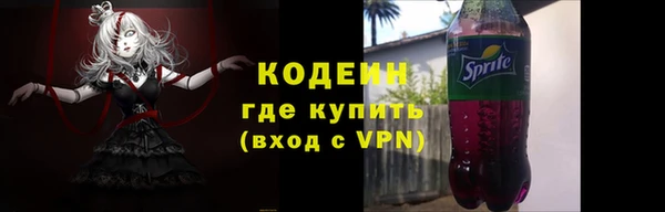 прущие грибы Белокуриха