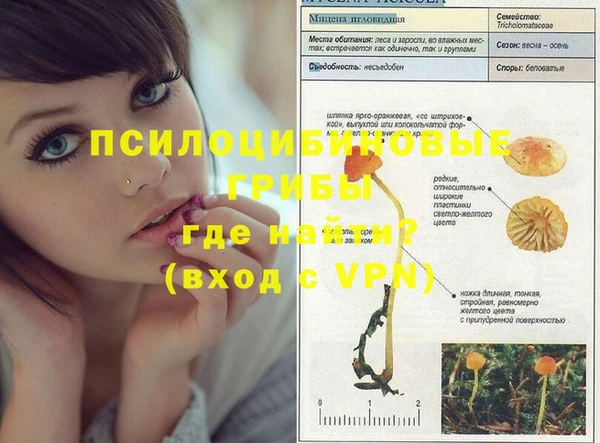 прущие грибы Белокуриха