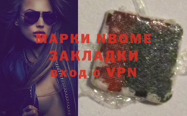 прущие грибы Белокуриха