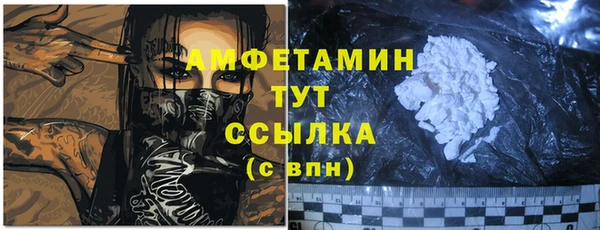 прущие грибы Белокуриха