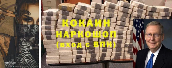 молекула духа Богородицк